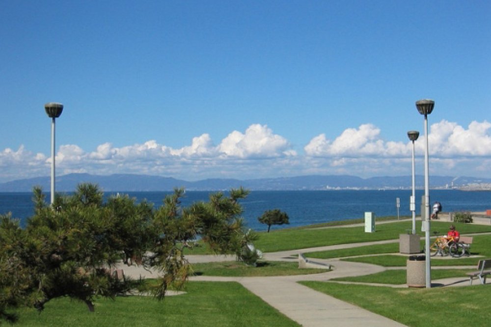 South Torrance Cover Picture